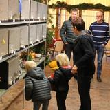 Aalten, Kleur en Fleur, vogelshow, 26 november 2016 040.jpg